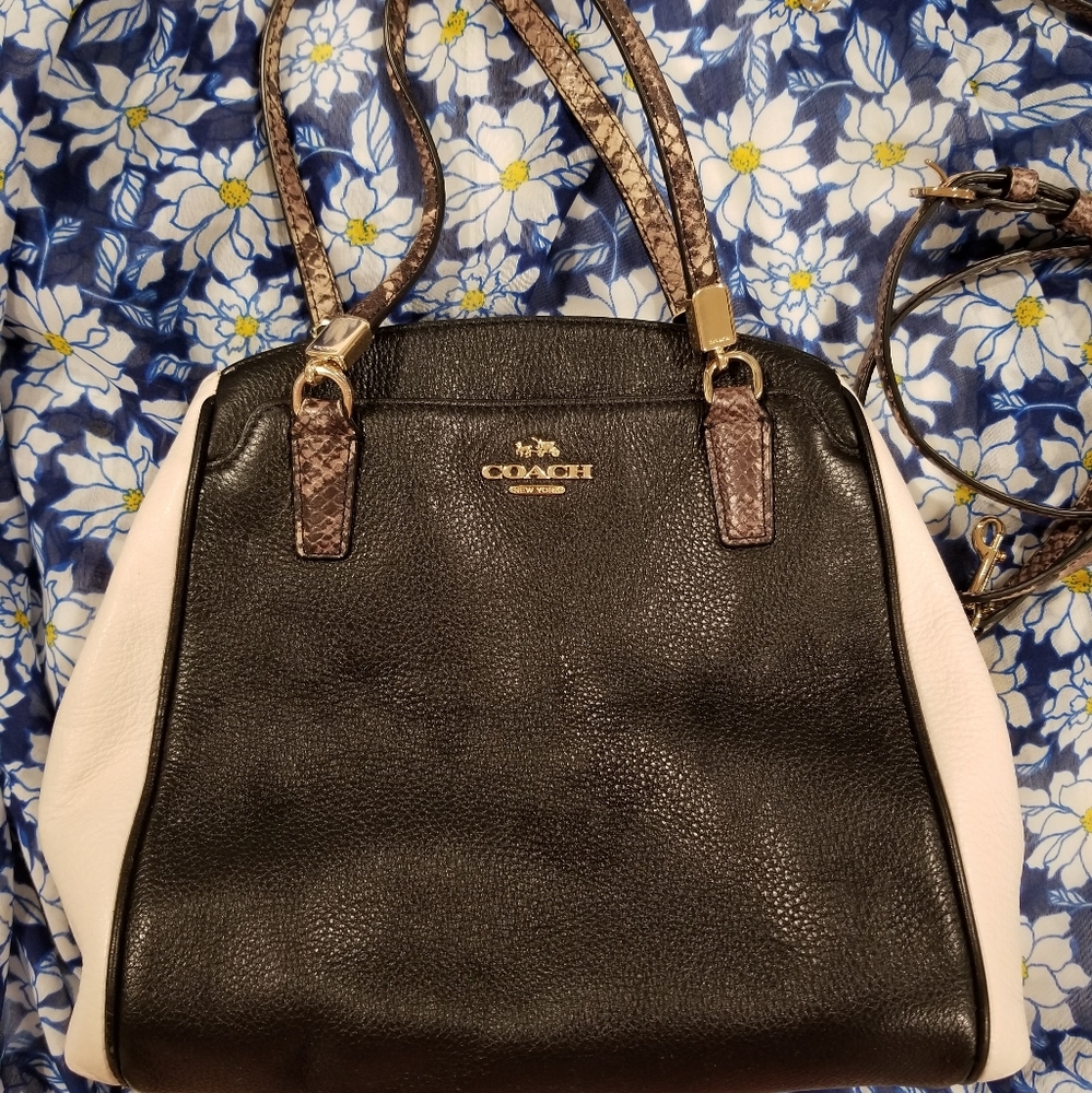Rare colorblock snakeskin Coach Purse
